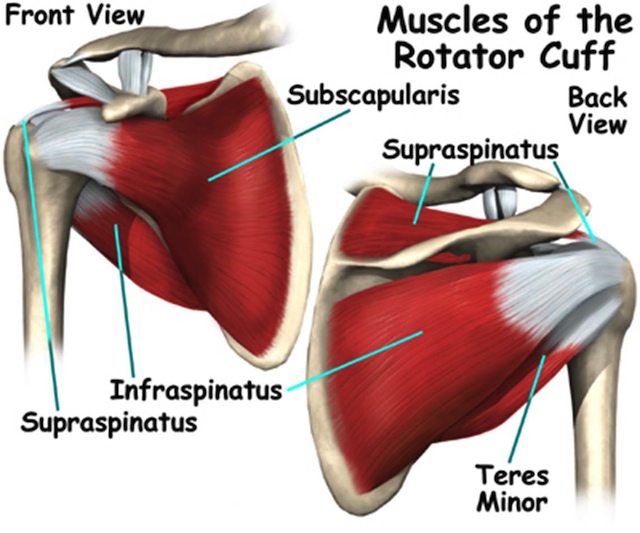 shoulder injury prevention exercises prevent shoulder injuries